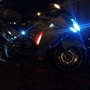 ���� �������, �����-���������, 49 ��� - ��������� 4 ������� 2017 � ������ ������ ��������