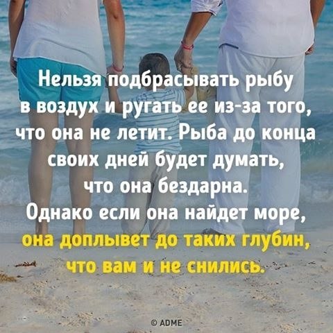   - 2  2017  12:12