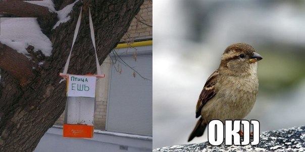      ,       ) - 23
