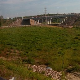 ������, �������, 41 ���