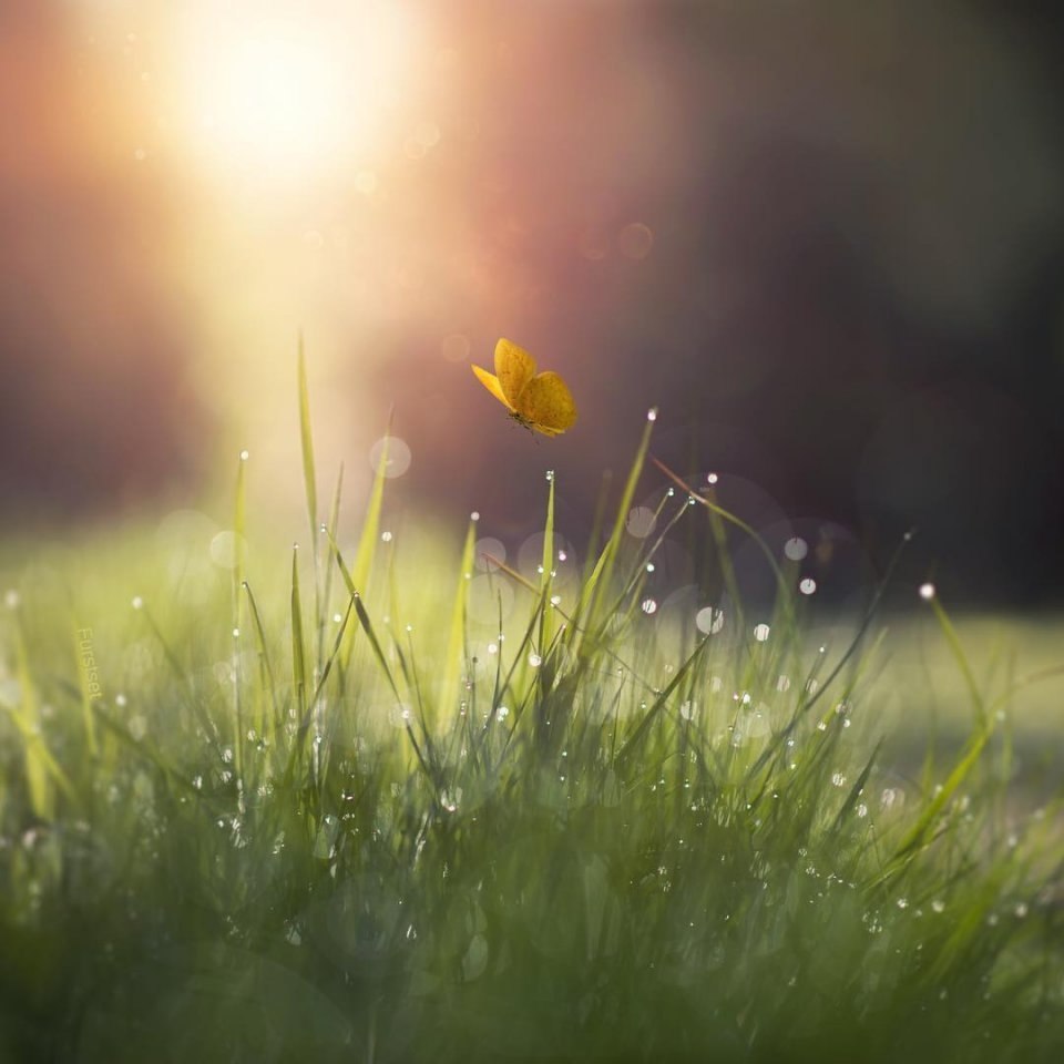     .     .     .  , ... - 6