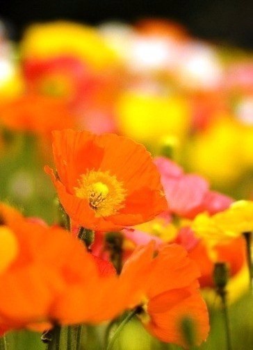   - 3  2018  03:45 - 5