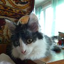 ���� Sergey, ����-�����������, 49 ��� - ��������� 19 ��� 2018