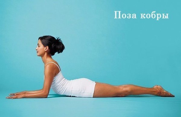 7 эффективных поз йоги для красивой и упругой груди.Большинство женщин недовольны формой или ... - 3