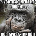 ���� ��������, ������, 43 ���� - ��������� 18 ������ 2018