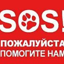 ���� ������, �����, 59 ��� - ��������� 2 ������ 2018 � ������ ������ ��������