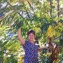 ���� ������, ����� - ��������� 1 ������� 2018 � ������ ���� ������ܻ