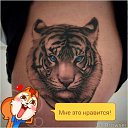 ���� Vigen, ������, 36 ��� - ��������� 5 ������ 2018