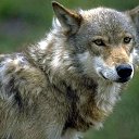 ���� �������, ������-��-����, 40 ��� - ��������� 30 ����� 2018 � ������ ���� ����������