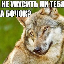 Alekcandr, 