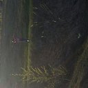 ���� �����, ������������, 42 ���� - ��������� 18 ��� 2018 � ������ ������ ��������