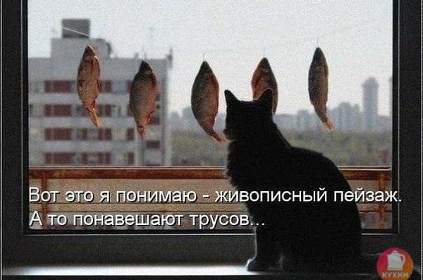 ... )