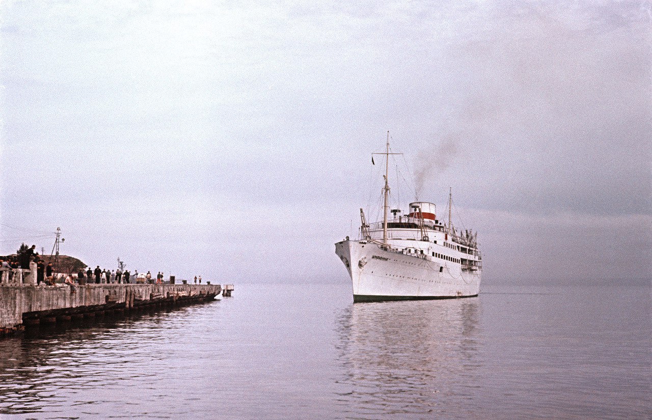     1950-    - 6