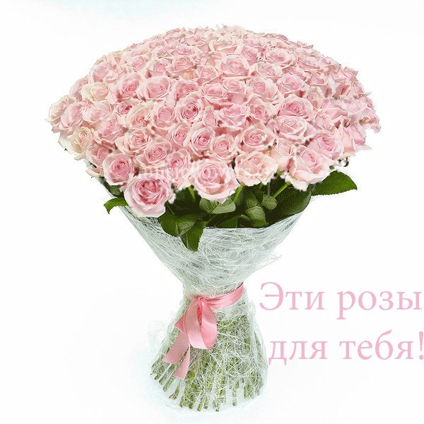 Vera - 29  2017  14:57 - 2