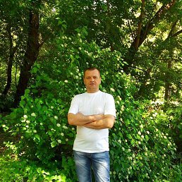 ����, ������, 41 ���