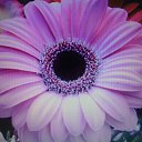  ***Oxana***, -- -  17  2018    