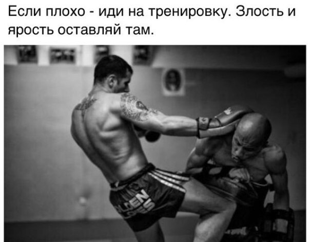  -   - 27  2017  03:46