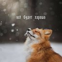 ���� �����, �����, 41 ��� - ��������� 19 ��� 2018