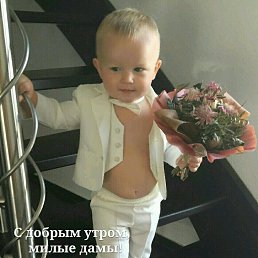 ���� ����, �����������, 43 ���� - ��������� 27 ������ 2017