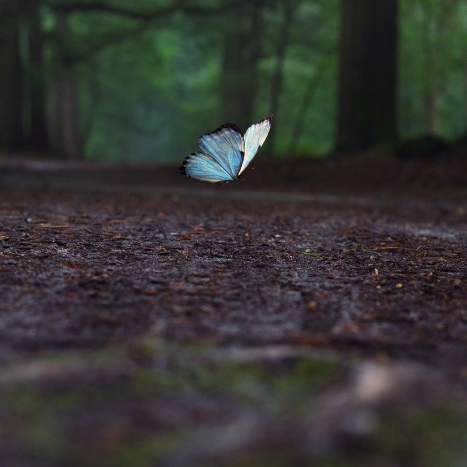     .     .     .  , ... - 8