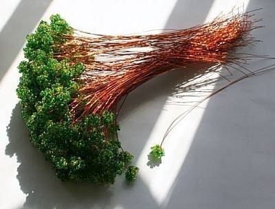 �� ������ ������� ������ �� ������. ��� ����, ����� ������ ������ ������� ������ �� ������ ��� ... - 2