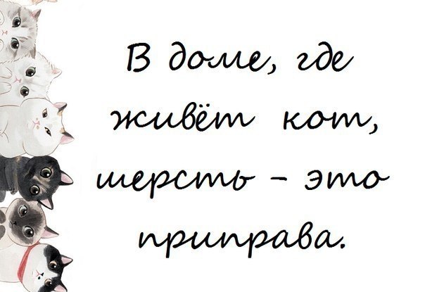    - 23  2017  07:11