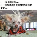 ���� �������, ������-��-����, 40 ��� - ��������� 30 ����� 2018 � ������ ���� ����������