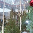  -   !,  -  23  2017      23.12.2017