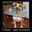 ���� Yaroslav (�������), ����, 46 ��� - ��������� 5 ��� 2018 � ������ ���� ����������