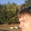 ���� ������, ���������, 44 ���� - ��������� 13 ������ 2018