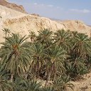 ���� Agor, ������-��-���� - ��������� 27 ���� 2018 � ������ ���� ����������