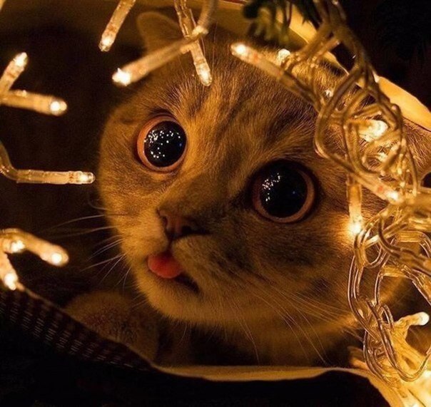 :    . :-)