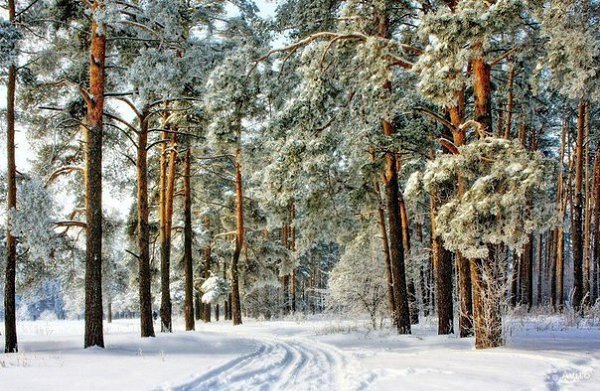 Каждый слышит только то, что он понимает. - 2