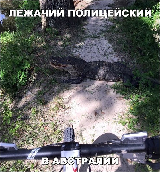    :D - 21  2017  03:46