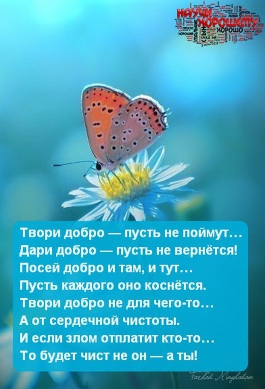   ,    .