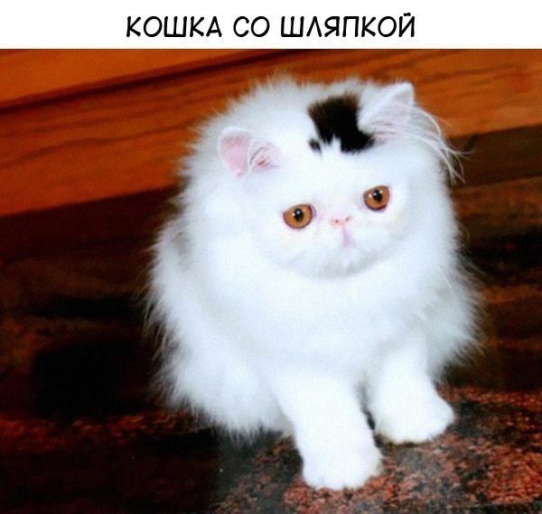 ,      - 5