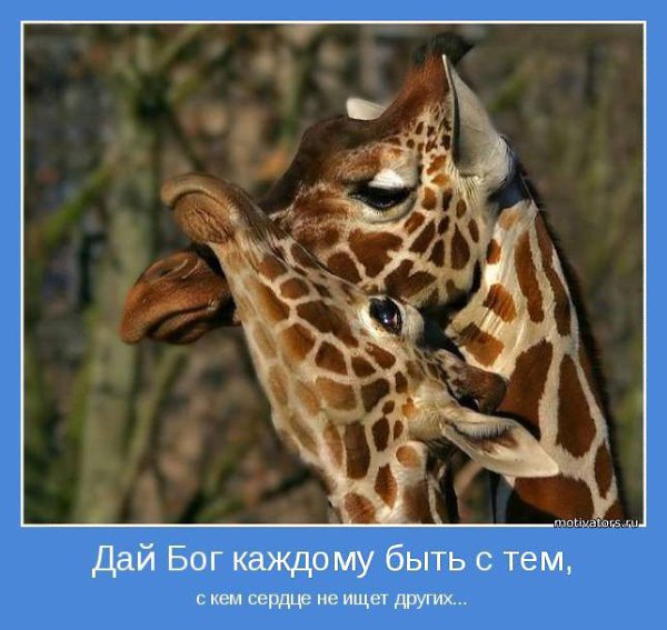 Мы ищем,встречаем,находим,теряем, Имея-не ценим....Встречая-бросаем..... Попытки-и ...
