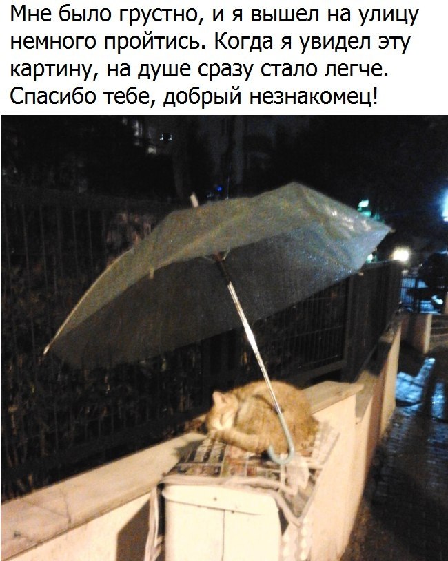    |  - 20  2018  03:49