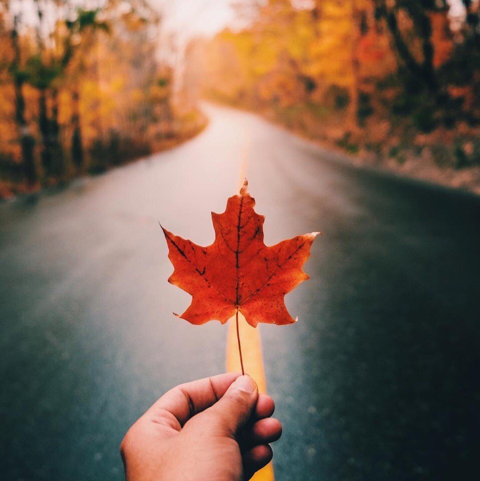 Canada - 5
