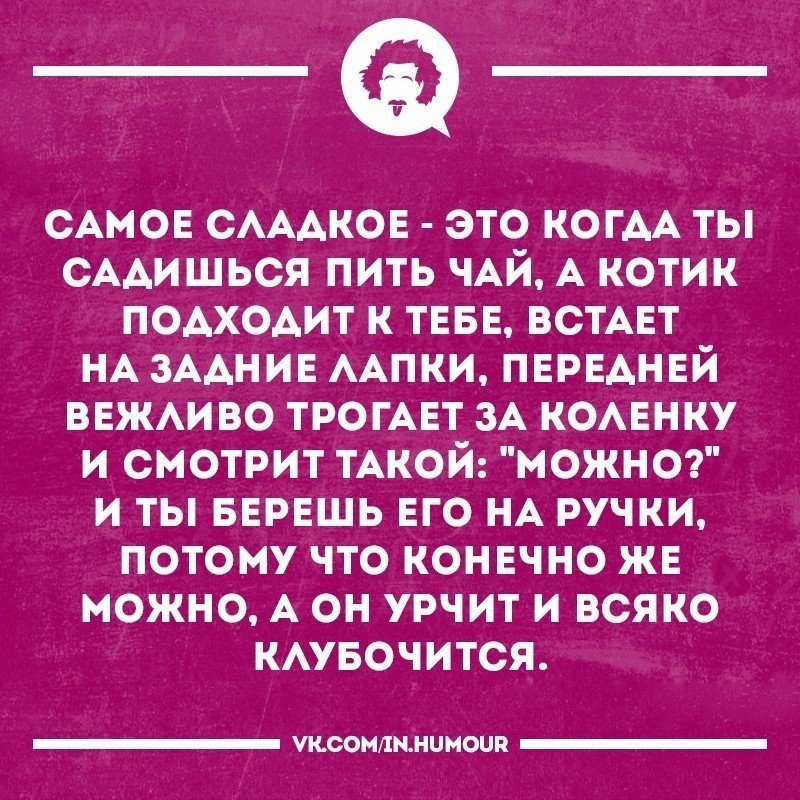   - 3  2018  02:53