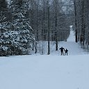 ���� ������, ������, 37 ��� - ��������� 14 ������ 2018 � ������ ������� ������ � ���� ������.�