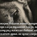  ,  -  24  2018