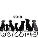 ���� ����, ������ - ��������� 4 ������� 2018 � ������ ������ ��������