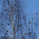 ���� ������, ����������� - ��������� 13 ������ 2018 � ������ ���� ����������