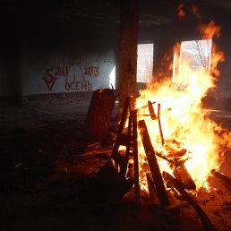 ����, �������, 38 ���