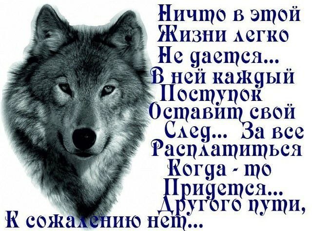 Host Lisaj - 28  2018  14:06