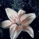 ���� ��������, ������� ��������, 68 ��� - ��������� 27 ����� 2018 � ������ ���� ����������