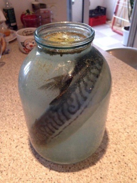 ���� ����� ��� ����� �� �������� ������� �������� ��� ������� � ��������, �������� ������� ������� ...