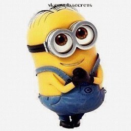 �����, ���������, 46 ���