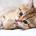 ���� Ketrin, ����, 35 ��� - ��������� 5 ����� 2018 � ������ ���� ����������